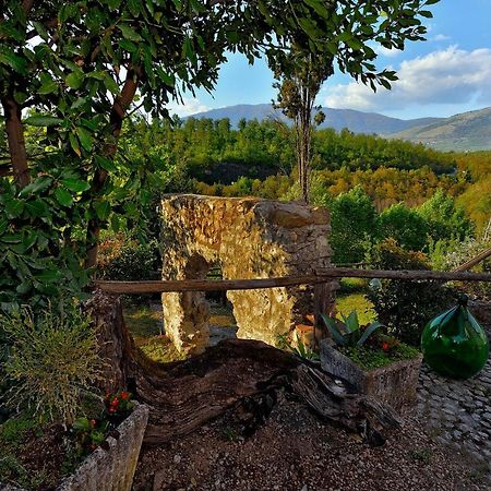 Tenuta Di Vico Moricino Anagni Exteriör bild