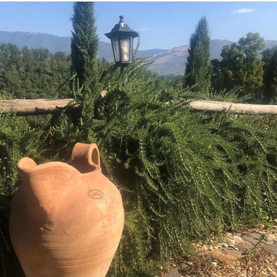 Tenuta Di Vico Moricino Anagni Exteriör bild