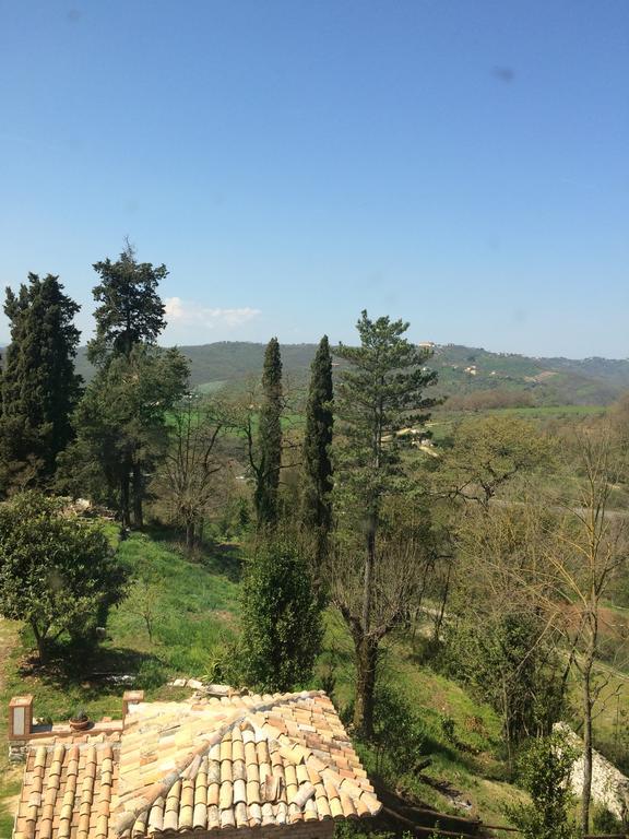 Tenuta Di Vico Moricino Anagni Rum bild